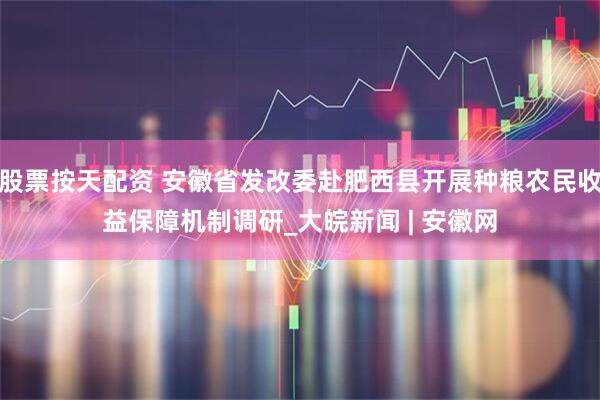 股票按天配资 安徽省发改委赴肥西县开展种粮农民收益保障机制调研_大皖新闻 | 安徽网