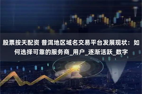 股票按天配资 普洱地区域名交易平台发展现状：如何选择可靠的服务商_用户_逐渐活跃_数字