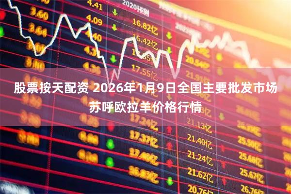 股票按天配资 2026年1月9日全国主要批发市场苏呼欧拉羊价格行情