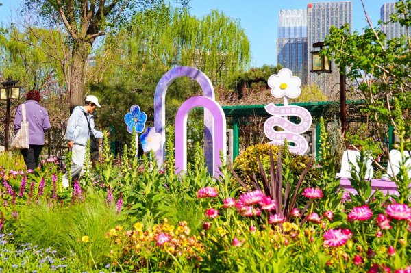 股票实盘配资公司 通州西海子又成“莫奈花园”，春日花海成新晋打卡地